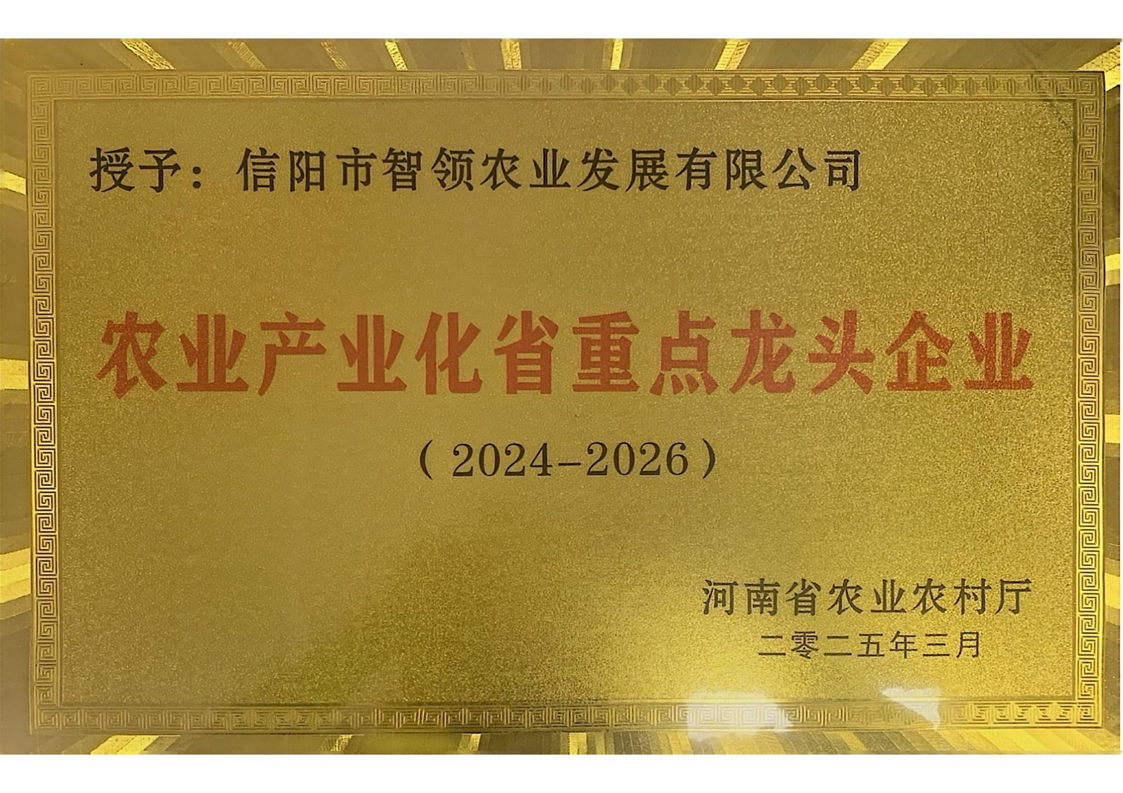 农业产业化省重点龙头企业证书